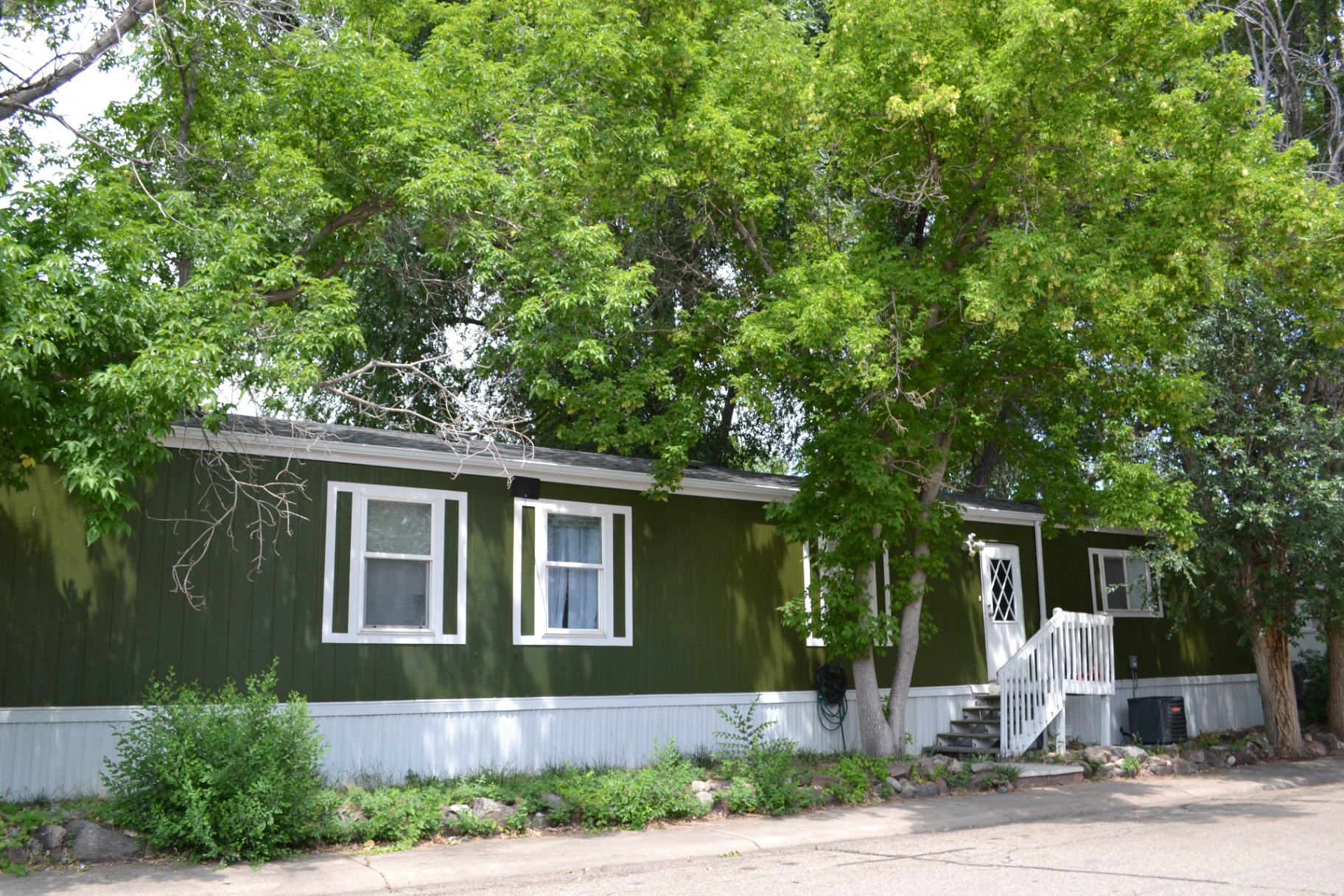 Forest green with white trim — A classic single-wide framed by cottonwoods along the north loop.